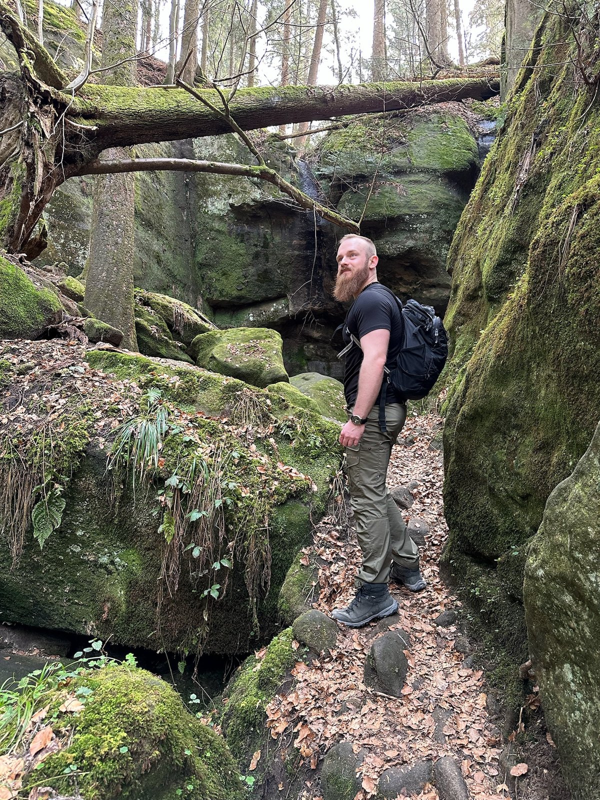 Systems for sane leadership.